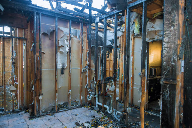 Professional Fire Damage Removal technician working in Lewiston, MN
